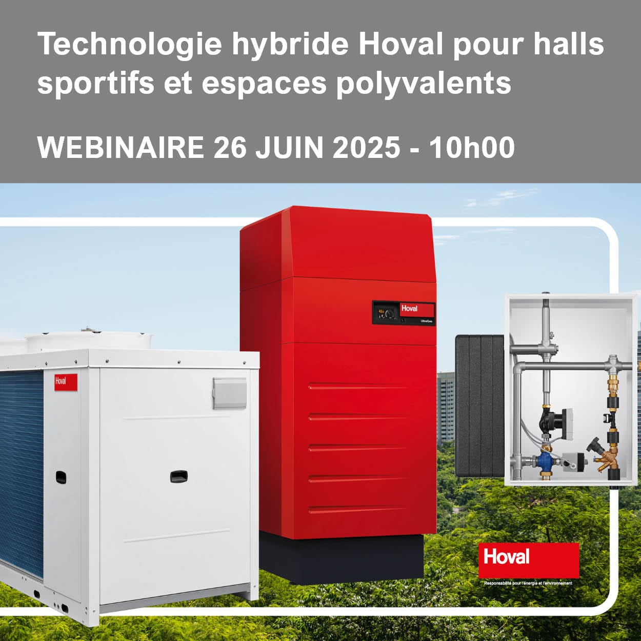 Post instagram webinar hybrid hoval